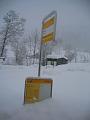 2009_02_17 15_46_26-0018